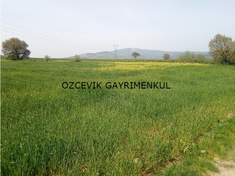 Sıcak Fırsat Sıcak Fırsat